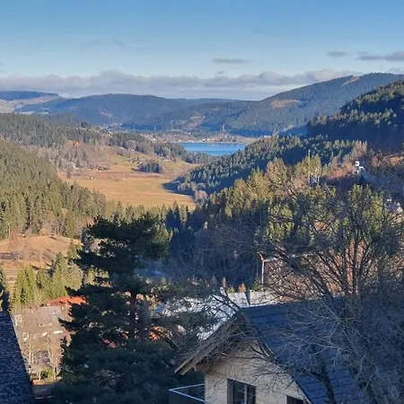 Adlernest Appartement